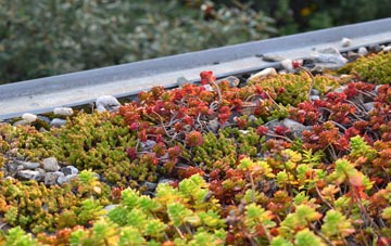 the cost of Kelloholm green roof installation
