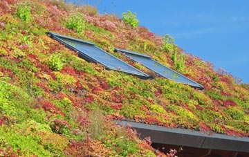 Kelloholm living roof systems