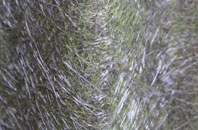 Kelloholm fibreglass roof work